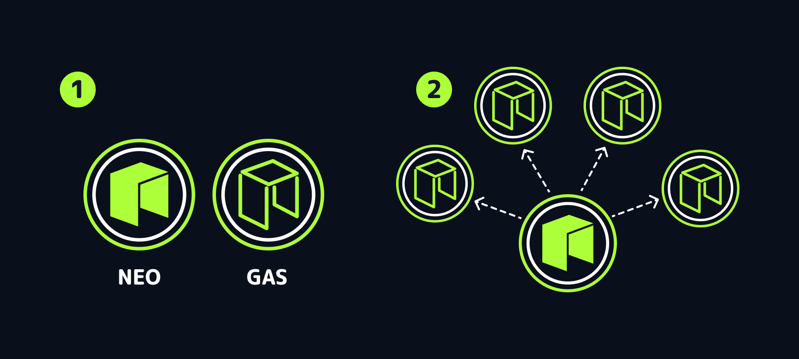 NEO and GAS diagram